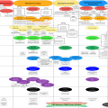 Pmp Mindmap For Pmbok Th Edition Wholesteading