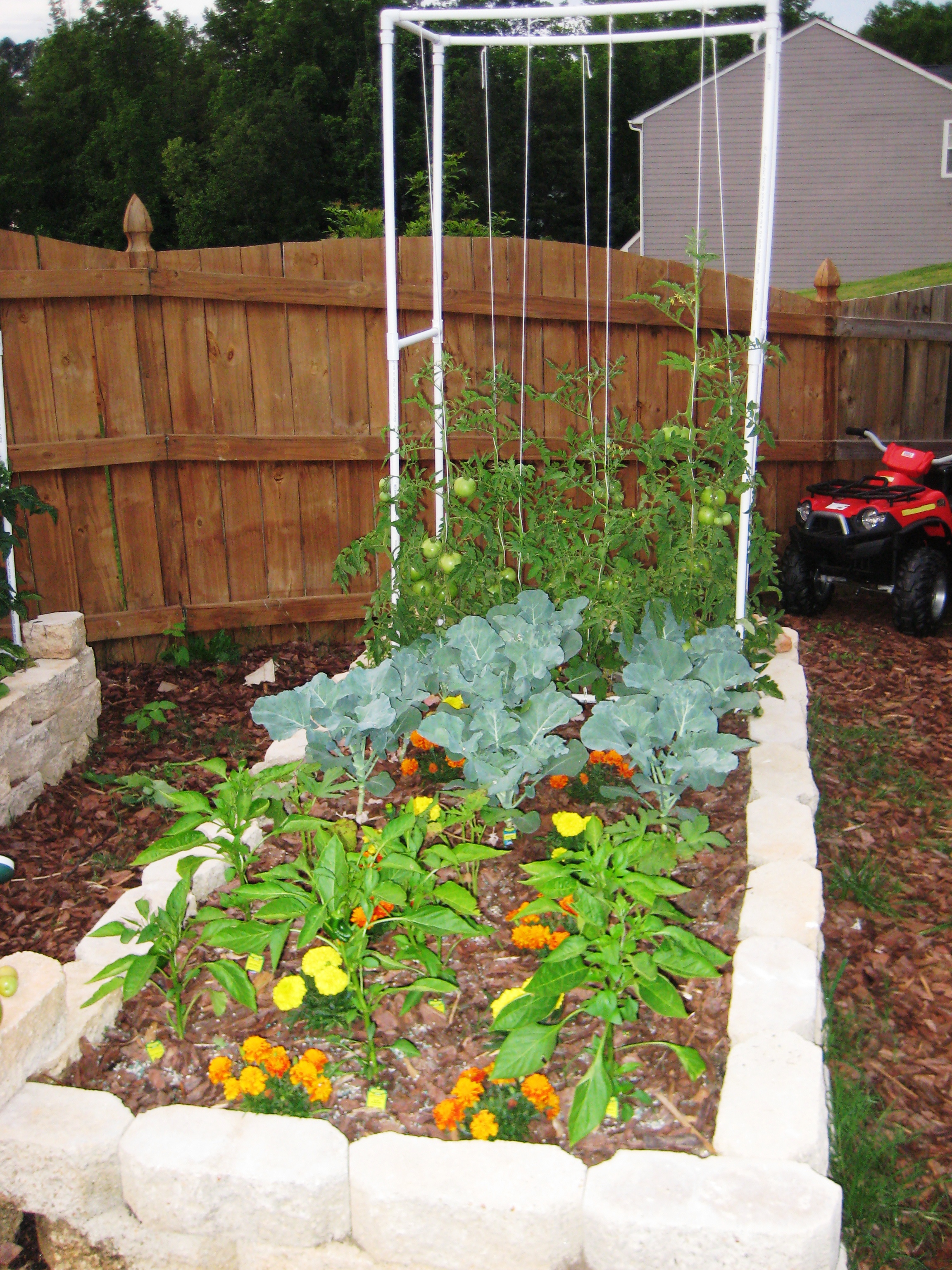 Square Foot Gardening in Georgia - Wholesteading.com