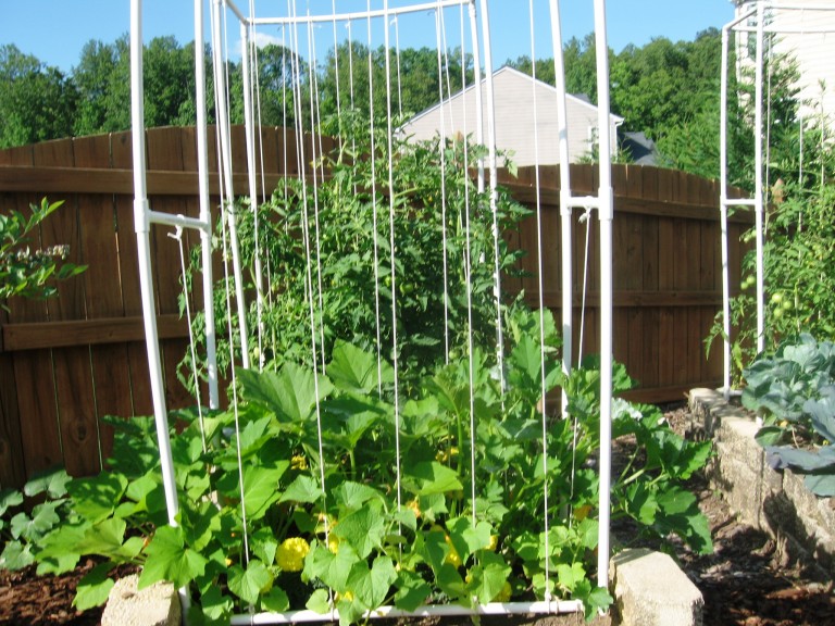 Square Foot Gardening in Georgia - Wholesteading.com