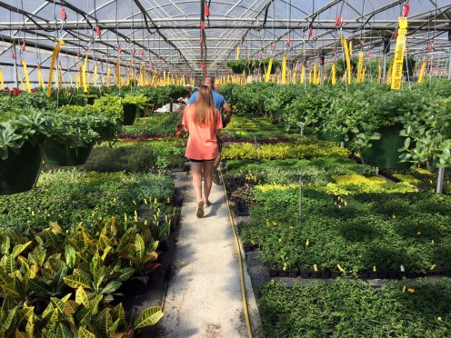Mannah looking for just the right plants for her ornamental container garden