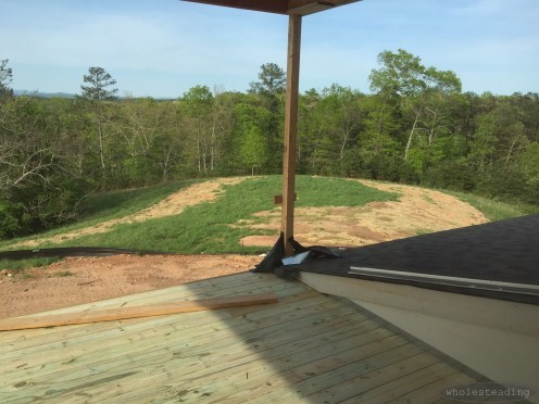 View from the rear porch (the horseshoe shaped dead grass is where the septic drain field was installed)