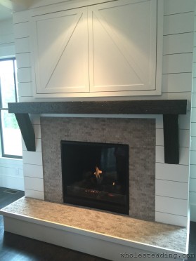 Direct Vent Fireplace - Wholesteading.com