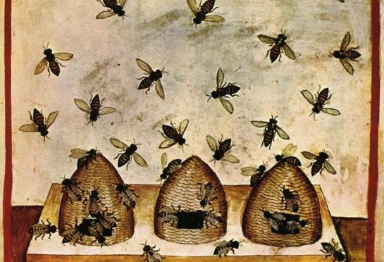 Bee Keeping Dreams