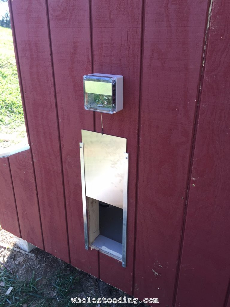 I ordered an automatic chicken door from Amazon. Here it is installed. It works great! Chickens are automatically let out as soon as the sun comes up in the morning and locked up every night when the sun sets.